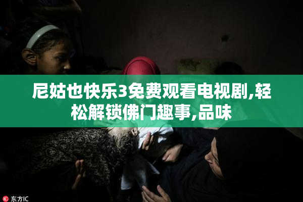 尼姑也快乐3免费观看电视剧,轻松解锁佛门趣事,品味