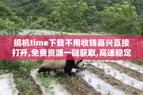 搞机time下载不用收钱嘉兴直接打开,免费资源一键获取,高速稳定不