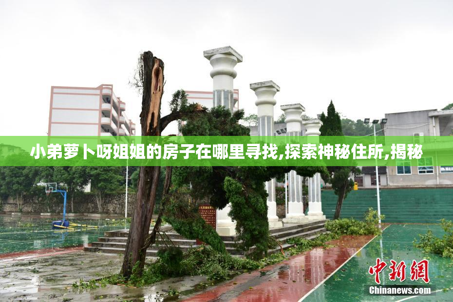 小弟萝卜呀姐姐的房子在哪里寻找,探索神秘住所,揭秘