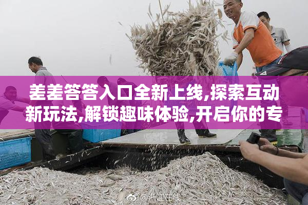 差差答答入口全新上线,探索互动新玩法,解锁趣味体验,开启你的专属