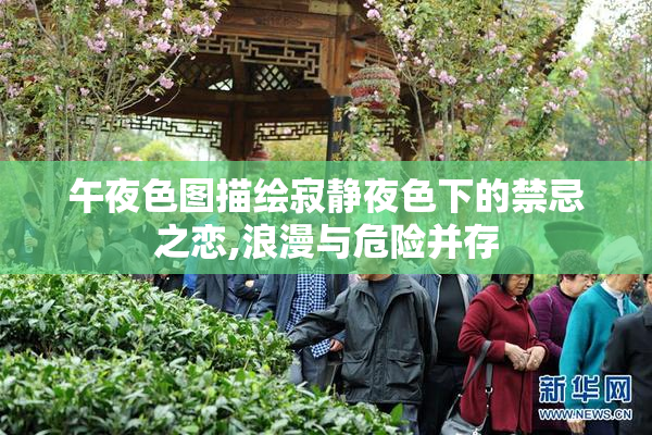 午夜色图描绘寂静夜色下的禁忌之恋,浪漫与危险并存