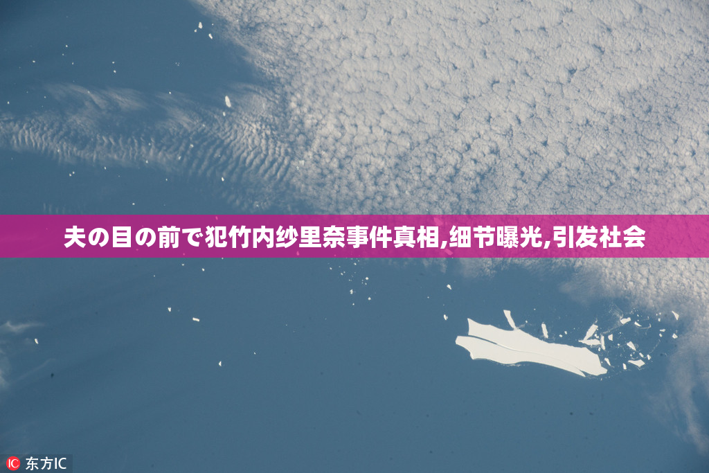 夫の目の前で犯竹内纱里奈事件真相,细节曝光,引发社会