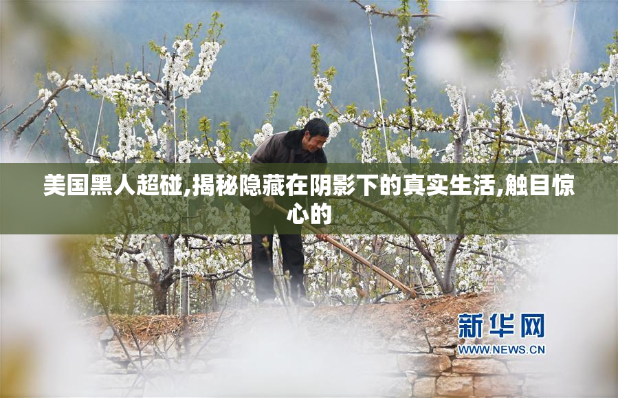 美国黑人超碰,揭秘隐藏在阴影下的真实生活,触目惊心的