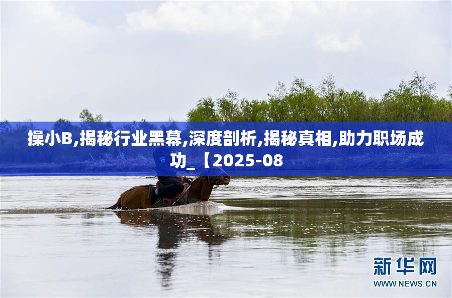 操小B,揭秘行业黑幕,深度剖析,揭秘真相,助力职场成功_【2025-08