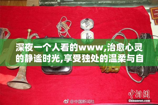深夜一个人看的www,治愈心灵的静谧时光,享受独处的温柔与自由