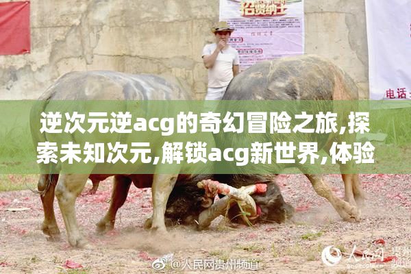 逆次元逆acg的奇幻冒险之旅,探索未知次元,解锁acg新世界,体验热血