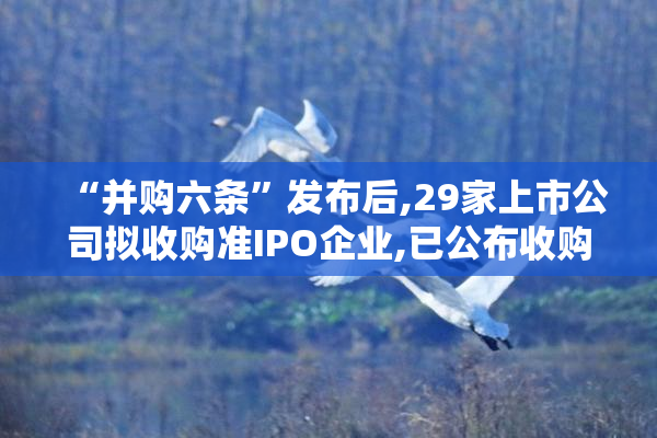 “并购六条”发布后,29家上市公司拟收购准IPO企业,已公布收购标的