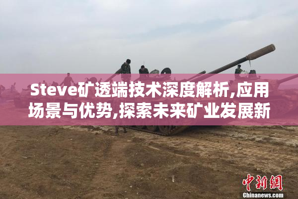 Steve矿透端技术深度解析,应用场景与优势,探索未来矿业发展新方向