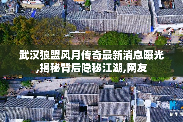 武汉狼盟风月传奇最新消息曝光,揭秘背后隐秘江湖,网友