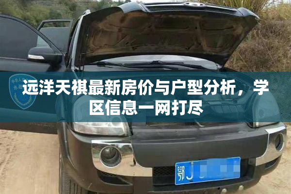 远洋天祺最新房价与户型分析，学区信息一网打尽