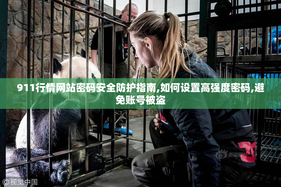 911行情网站密码安全防护指南,如何设置高强度密码,避免账号被盗