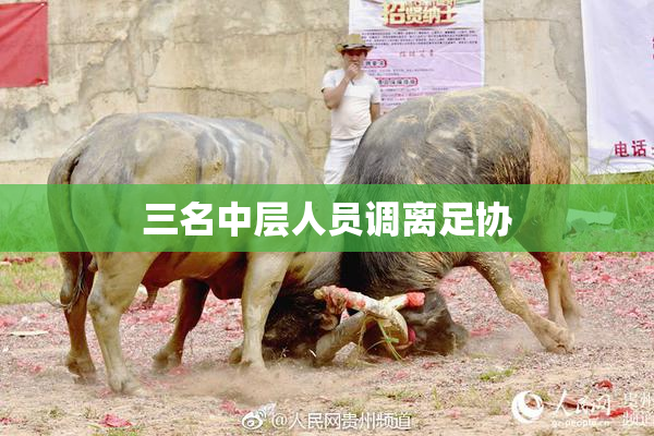 三名中层人员调离足协