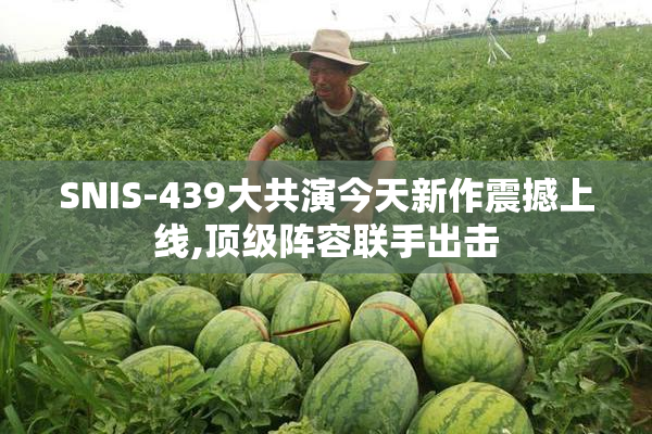 SNIS-439大共演今天新作震撼上线,顶级阵容联手出击