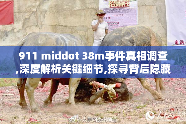911 middot 38m事件真相调查,深度解析关键细节,探寻背后隐藏