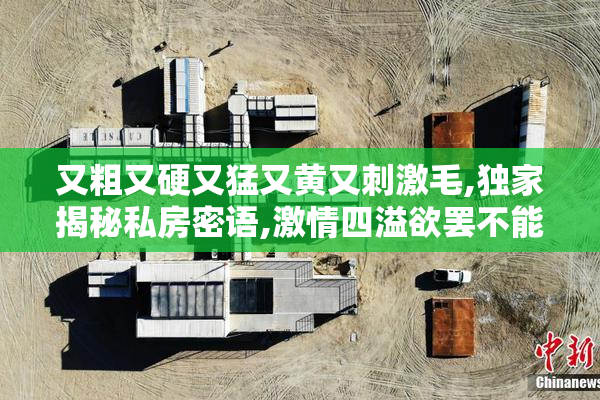 又粗又硬又猛又黄又刺激毛,独家揭秘私房密语,激情四溢欲罢不能