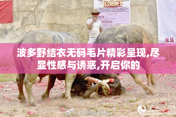 波多野结衣无码毛片精彩呈现,尽显性感与诱惑,开启你的