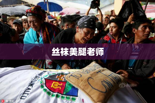 丝袜美腿老师