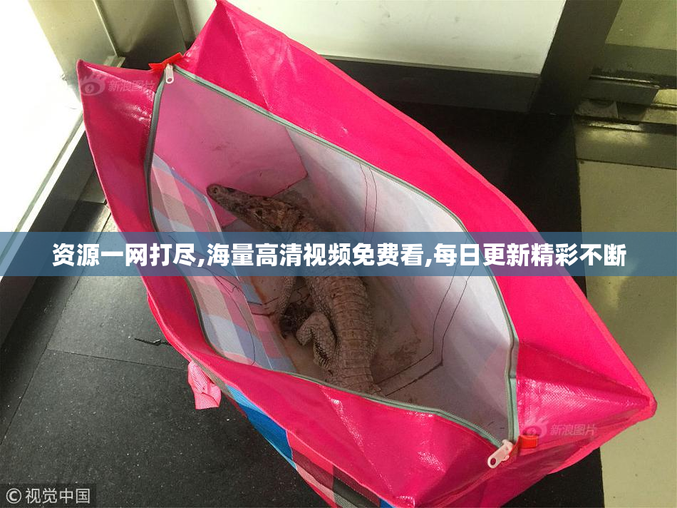 资源一网打尽,海量高清视频免费看,每日更新精彩不断