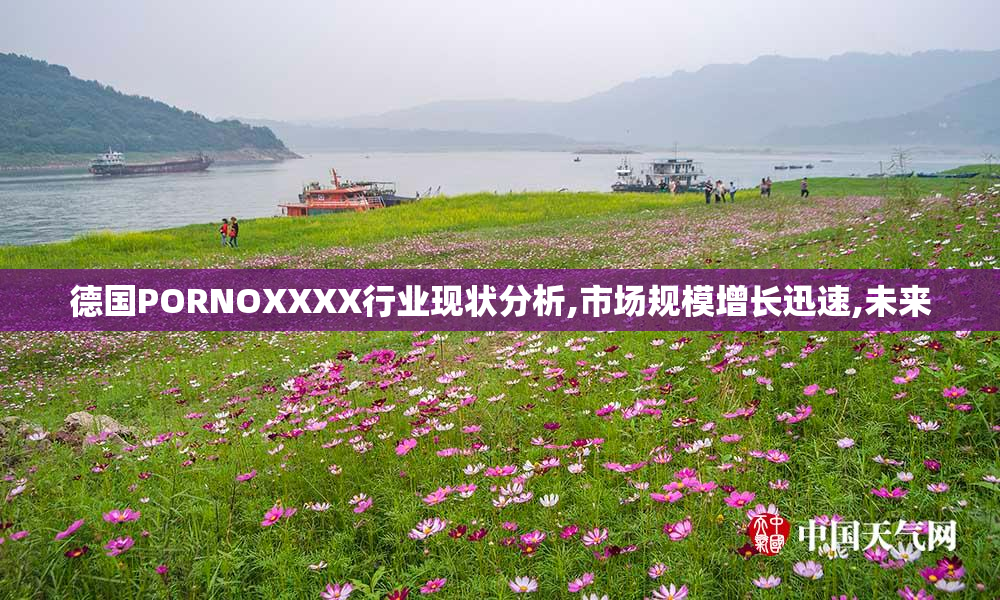 德国PORNOXXXX行业现状分析,市场规模增长迅速,未来