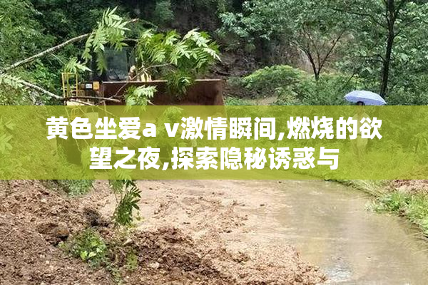 黄色坐爱a v激情瞬间,燃烧的欲望之夜,探索隐秘诱惑与
