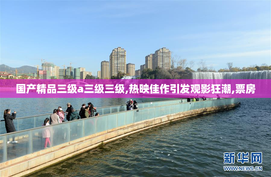 国产精品三级a三级三级,热映佳作引发观影狂潮,票房