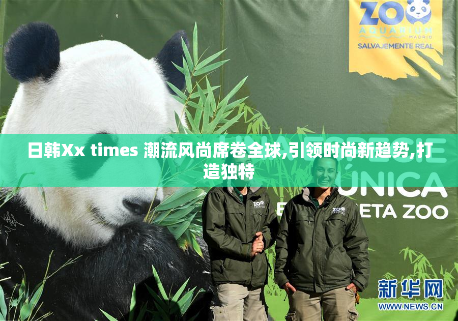 日韩Xx times 潮流风尚席卷全球,引领时尚新趋势,打造独特