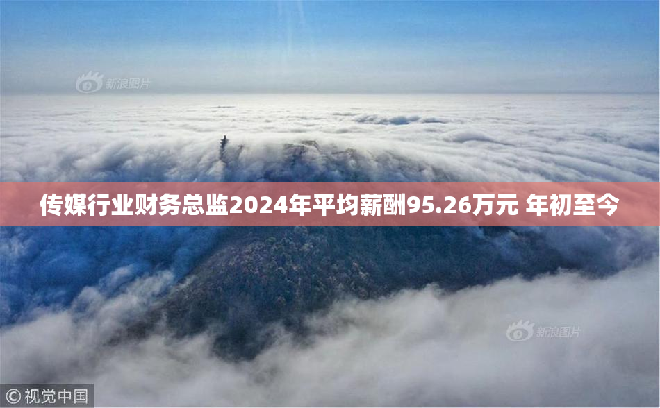 传媒行业财务总监2024年平均薪酬95.26万元 年初至今