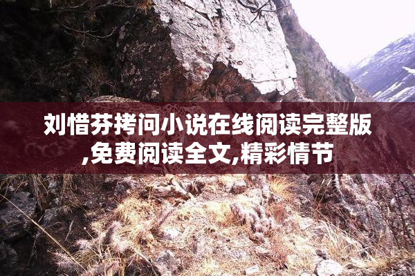 刘惜芬拷问小说在线阅读完整版,免费阅读全文,精彩情节