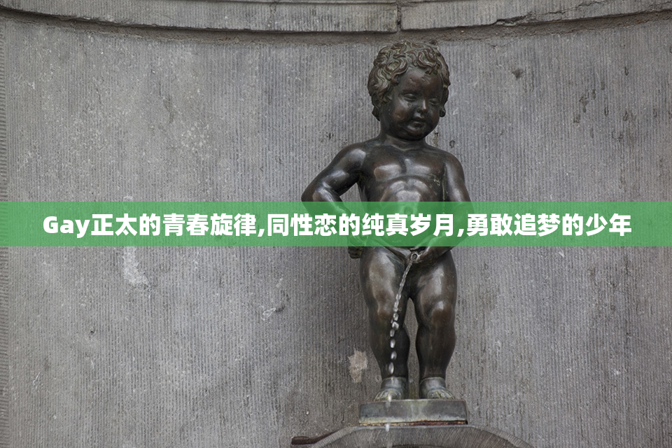 Gay正太的青春旋律,同性恋的纯真岁月,勇敢追梦的少年