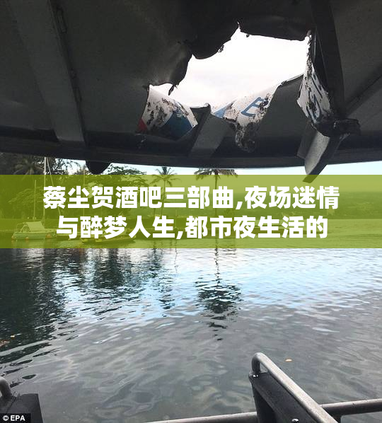 蔡尘贺酒吧三部曲,夜场迷情与醉梦人生,都市夜生活的