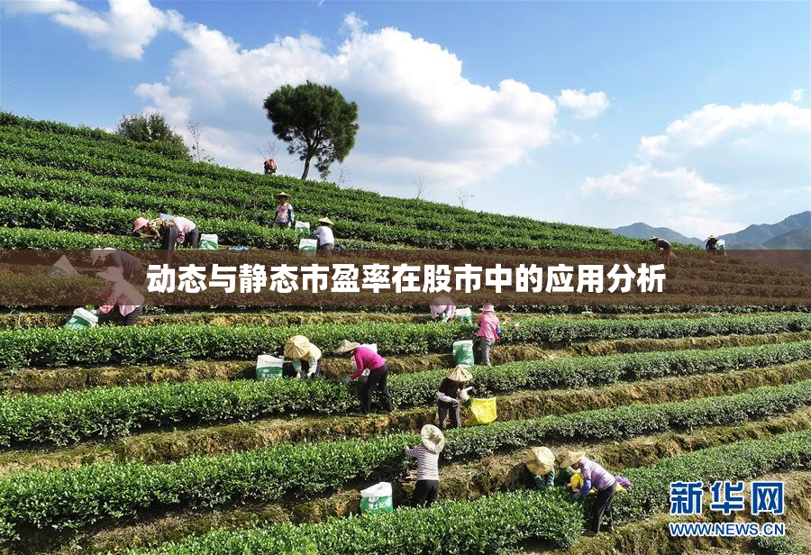 动态与静态市盈率在股市中的应用分析