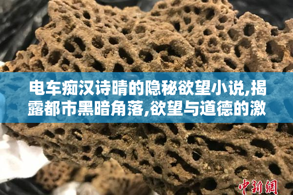 电车痴汉诗晴的隐秘欲望小说,揭露都市黑暗角落,欲望与道德的激烈