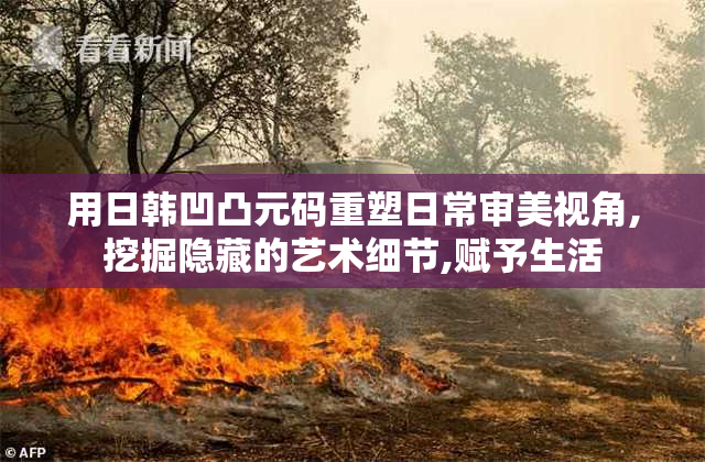 用日韩凹凸元码重塑日常审美视角,挖掘隐藏的艺术细节,赋予生活