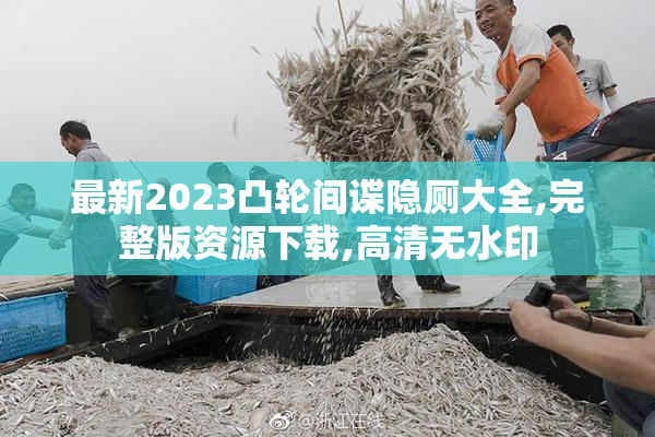最新2023凸轮间谍隐厕大全,完整版资源下载,高清无水印