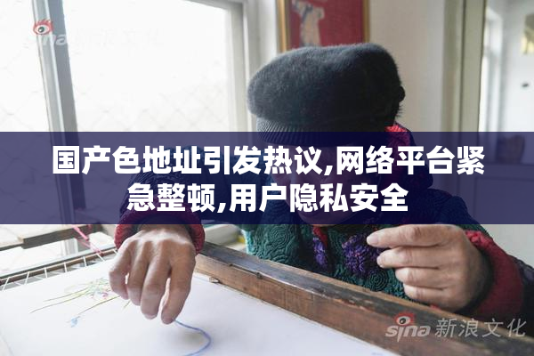 国产色地址引发热议,网络平台紧急整顿,用户隐私安全