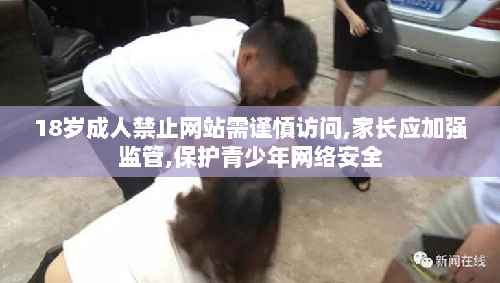 18岁成人禁止网站需谨慎访问,家长应加强监管,保护青少年网络安全