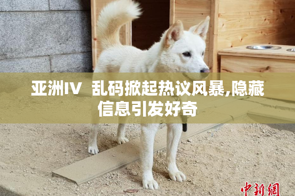 亚洲IV  乱码掀起热议风暴,隐藏信息引发好奇