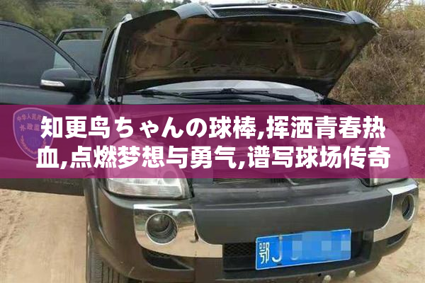 知更鸟ちゃんの球棒,挥洒青春热血,点燃梦想与勇气,谱写球场传奇