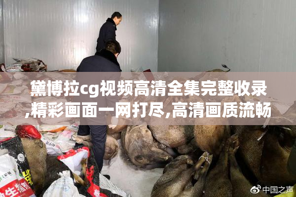 黛博拉cg视频高清全集完整收录,精彩画面一网打尽,高清画质流畅体验