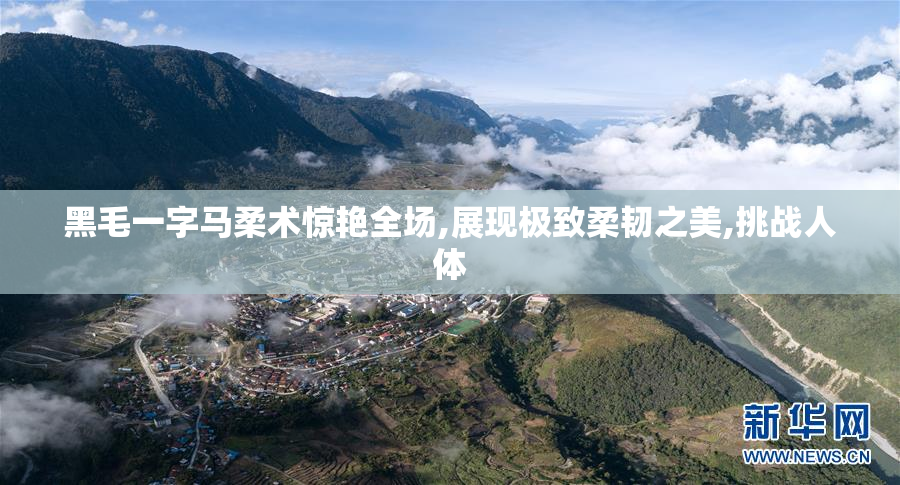 黑毛一字马柔术惊艳全场,展现极致柔韧之美,挑战人体