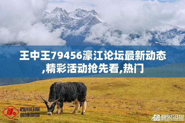 王中王79456濠江论坛最新动态,精彩活动抢先看,热门
