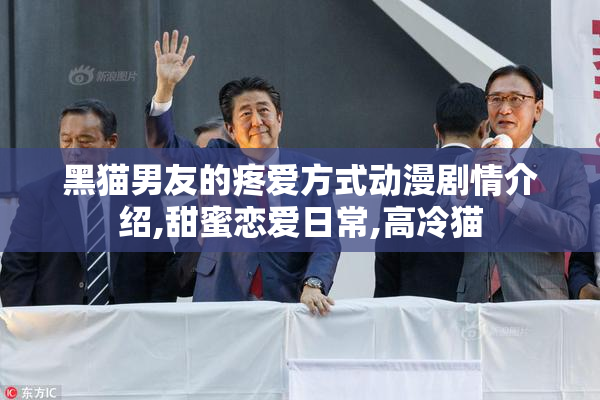 黑猫男友的疼爱方式动漫剧情介绍,甜蜜恋爱日常,高冷猫