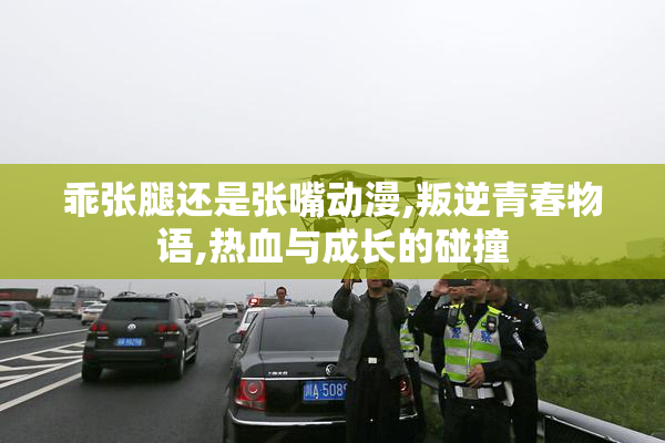 乖张腿还是张嘴动漫,叛逆青春物语,热血与成长的碰撞
