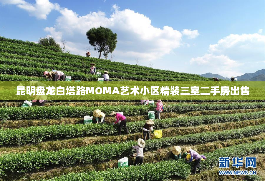 昆明盘龙白塔路MOMA艺术小区精装三室二手房出售