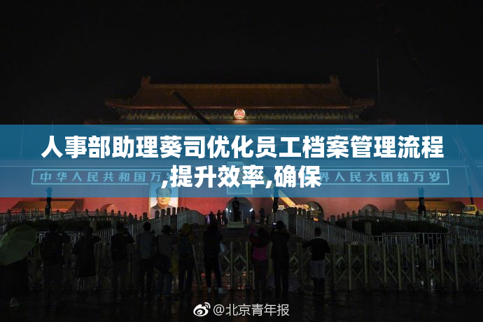 人事部助理葵司优化员工档案管理流程,提升效率,确保