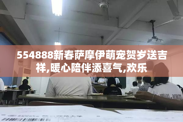 554888新春萨摩伊萌宠贺岁送吉祥,暖心陪伴添喜气,欢乐