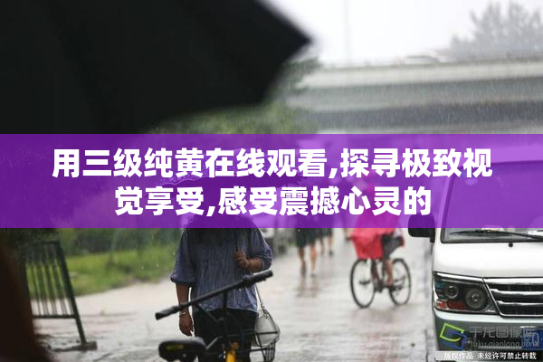 用三级纯黄在线观看,探寻极致视觉享受,感受震撼心灵的