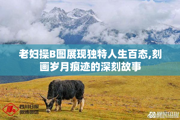 老妇操B图展现独特人生百态,刻画岁月痕迹的深刻故事