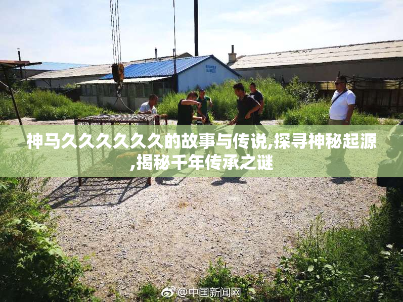 神马久久久久久久的故事与传说,探寻神秘起源,揭秘千年传承之谜