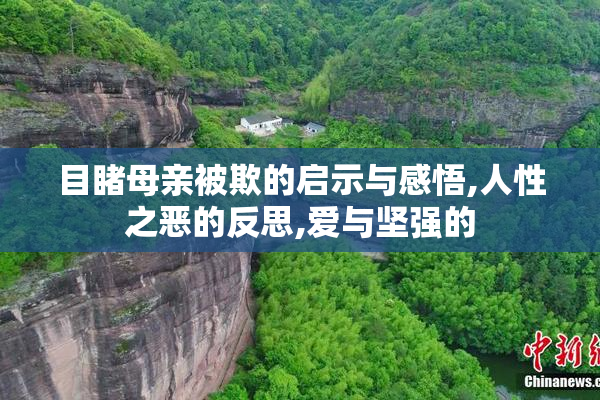目睹母亲被欺的启示与感悟,人性之恶的反思,爱与坚强的